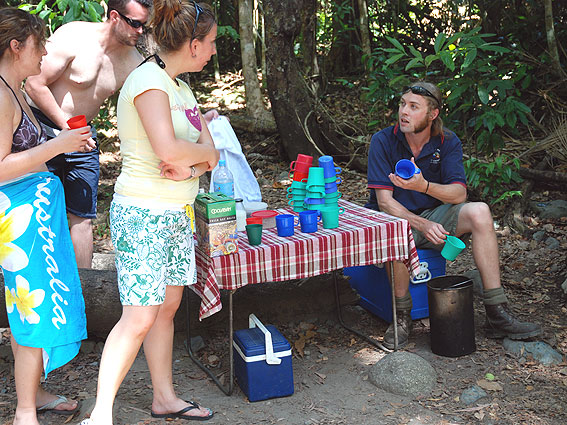 5300_Daintree_Rainforest 