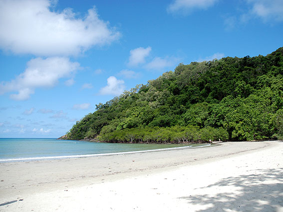 5304_Daintree_Rainforest 