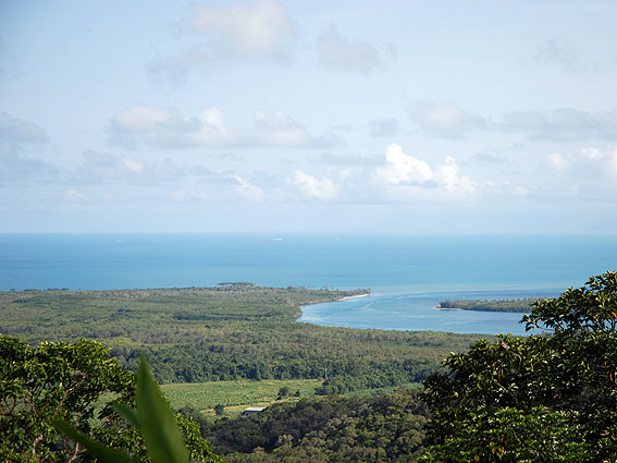 5330_Daintree_Rainforest 