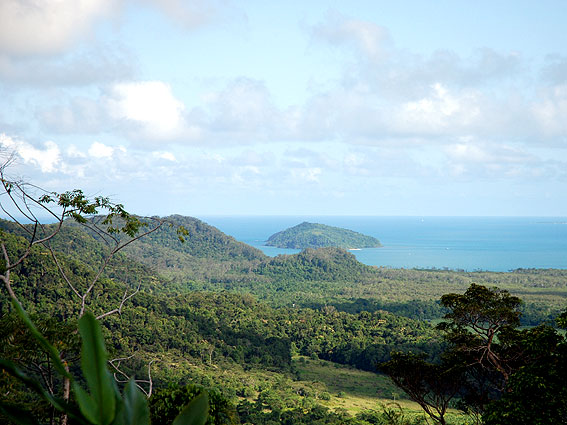 5335_Daintree_Rainforest 