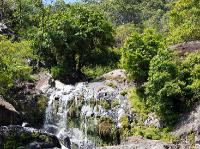 4863_Kuranda 