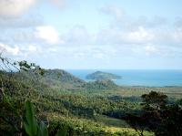 5335_Daintree_Rainforest