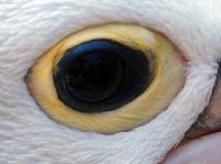5440 