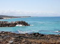 4119_Narooma