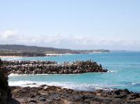 4123_Narooma 