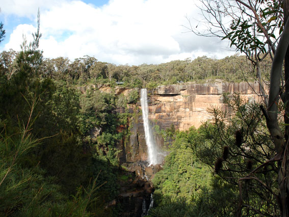 2228_Fitzroy_falls 