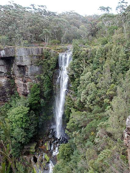 2245_Fitzroy_falls 