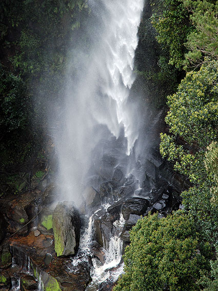 2248_Fitzroy_falls 