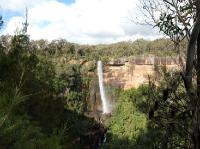 2228_Fitzroy_falls