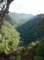 2237_Fitzroy_falls