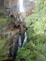 2244_Fitzroy_falls 