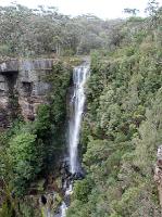 2245_Fitzroy_falls 