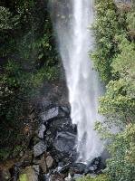 2246_Fitzroy_falls 