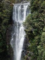 2247_Fitzroy_falls 