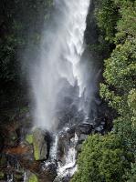 2248_Fitzroy_falls