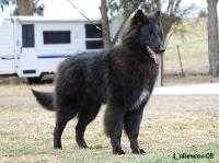 4380_Zantana 