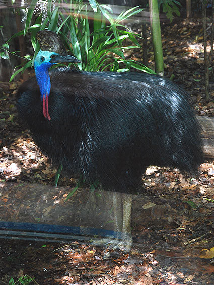 2410_wildlife_world 