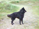 A model at the beach.