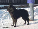 Endra 9 months old. Photo: Carin Lyrholm