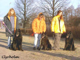 Annki, Thurbo, Bettan, Thindra, Carro & Pascha. Photo: Carin Lyrholm.