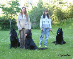 Pascha, Carro, Kiwi, Annki and Thurbo. Photo: Carin Lyrholm.