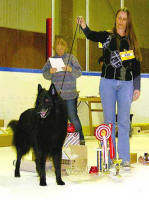 BEST IN SHOW Gvle Breed Special 030412. Judge: Mme Willemin van Deijl.