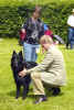 Gert Christensen giving Pascha his Danish CAC. DANISH CHAMPION ! ! ! Photo: Kerstin Ohlsson.