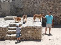 1DSC_0148_CasteloSesimbra