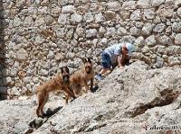 1DSC_0173_CasteloSesimbra