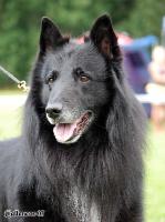 0182_JeMappelleEdison 