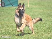 0358_BastdalsGoram 