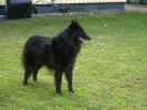 3 years old.