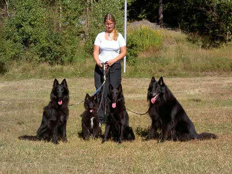 This is me with 4 children out of s.r. RA BSG-00 Chili van't Belgisch Schoon. They are all from different litters. From the left: Qobra, Ucci, Soya and my own Pascha. Photo taken September 11, 2004, by Carin Lyrholm.