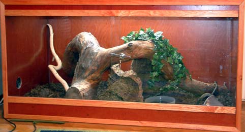 This is his home! Rather big at the moment, but he will grow into it in time...